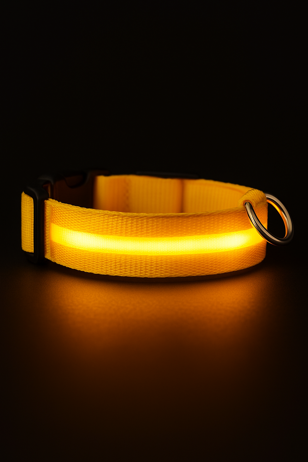 Pawiora™ – LED-Hundehalsband