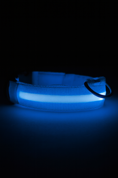 Pawiora™ – LED-Hundehalsband