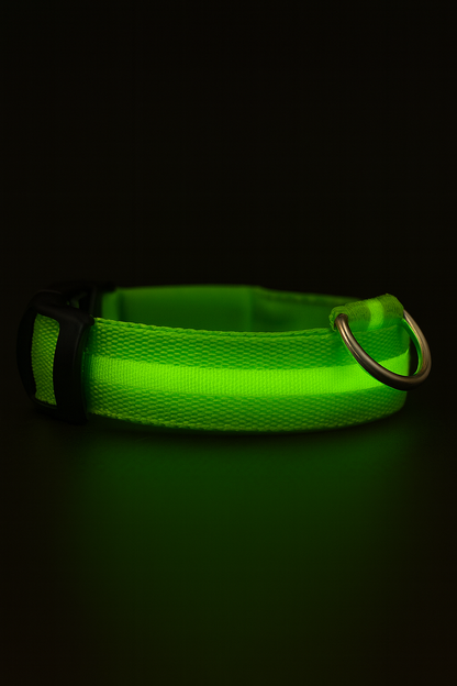 Pawiora™ – LED-Hundehalsband
