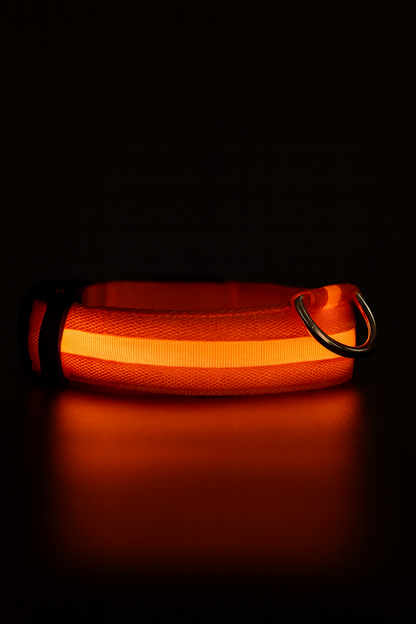 Pawiora™ – LED-Hundehalsband