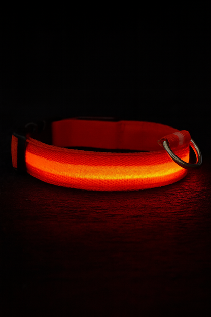 Pawiora™ – LED-Hundehalsband