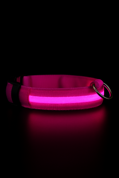 Pawiora™ – LED-Hundehalsband